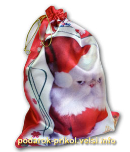 Новогодний мешочек для подарков с котом