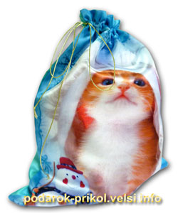 Новогодний мешочек для подарков с котенком